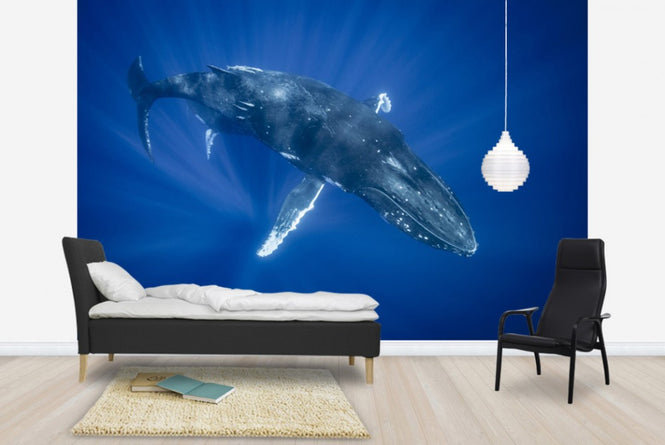 PHOTOWALL / Majestic Humpback Whale (e23791)