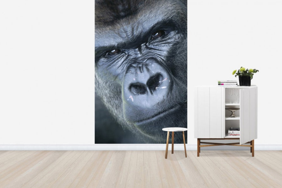 PHOTOWALL / Gorilla Portrait (e23792)