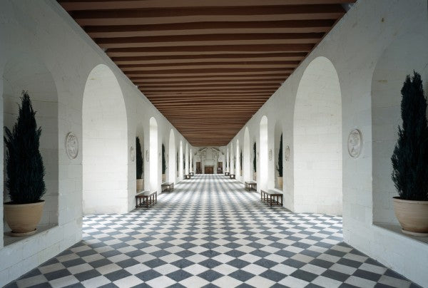PHOTOWALL / Castle of Chenonceaux (e23793)