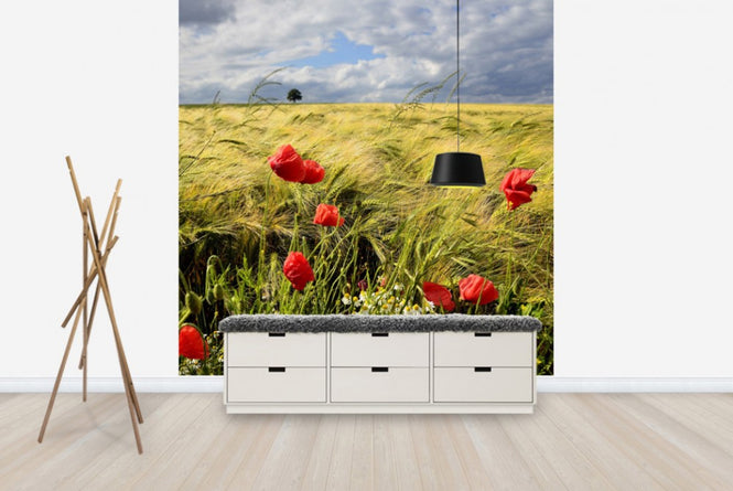 PHOTOWALL / Velvety Barley and Poppies Field (e23871)