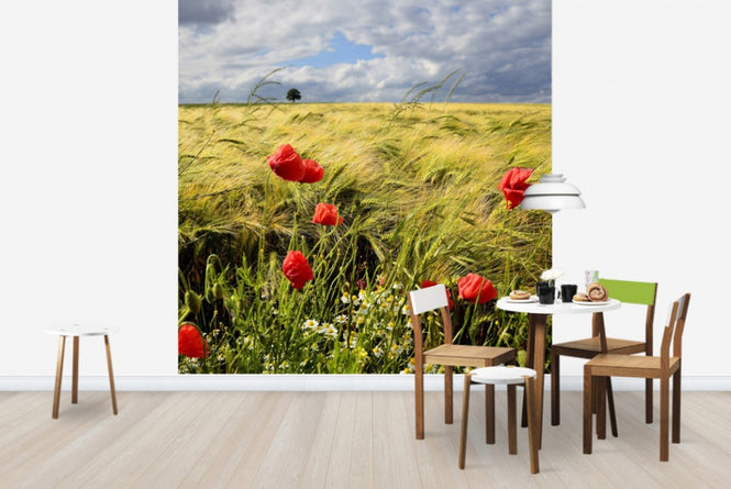 PHOTOWALL / Velvety Barley and Poppies Field (e23871)