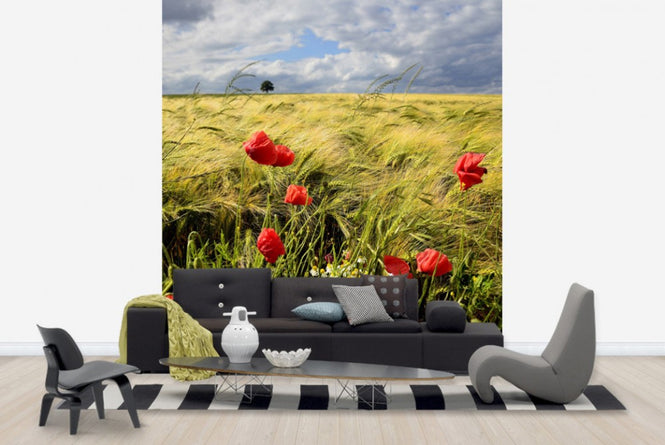 PHOTOWALL / Velvety Barley and Poppies Field (e23871)