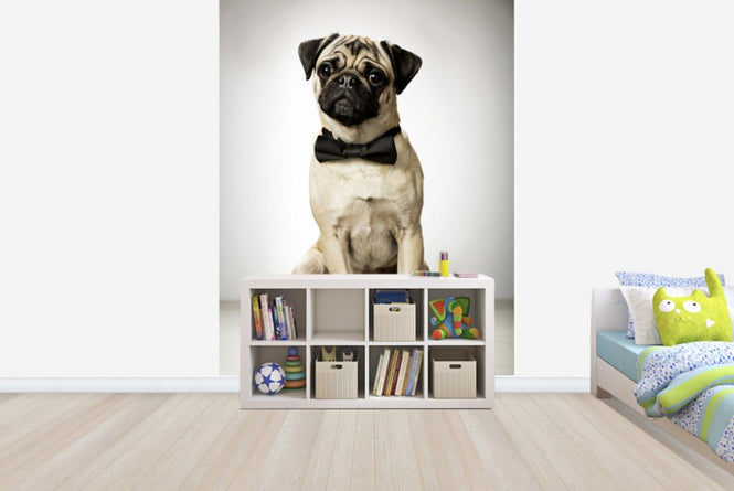 PHOTOWALL / Portrait of a Gentleman (e23873)