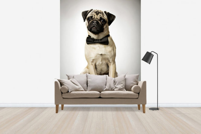 PHOTOWALL / Portrait of a Gentleman (e23873)