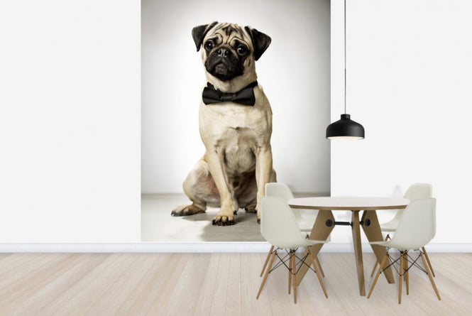 PHOTOWALL / Portrait of a Gentleman (e23873)