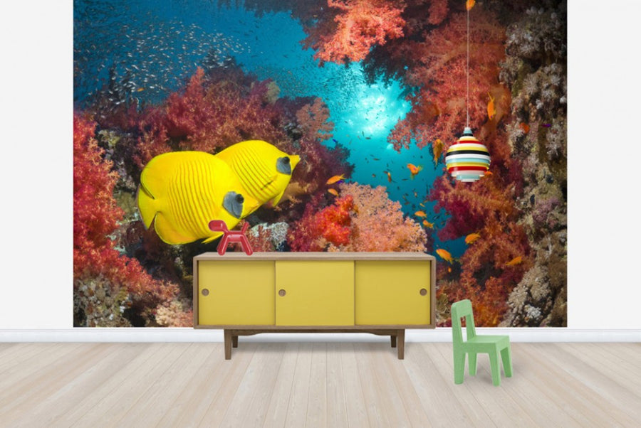 PHOTOWALL / Butterfly Fish and Red Corals (e23892)