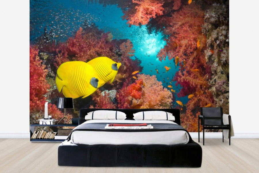 PHOTOWALL / Butterfly Fish and Red Corals (e23892)