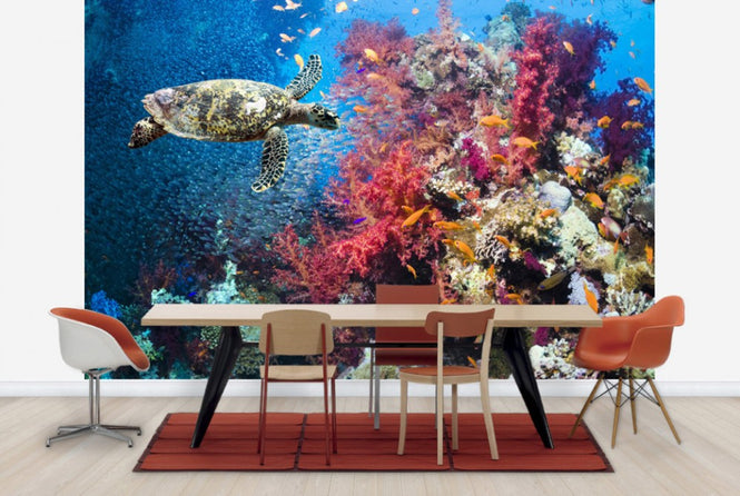 PHOTOWALL / Turtle and Corals (e23927)