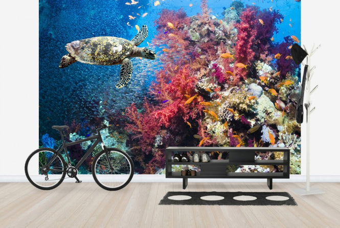 PHOTOWALL / Turtle and Corals (e23927)