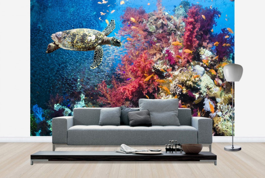 PHOTOWALL / Turtle and Corals (e23927)