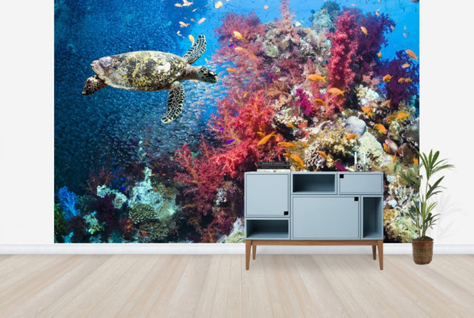 PHOTOWALL / Turtle and Corals (e23927)