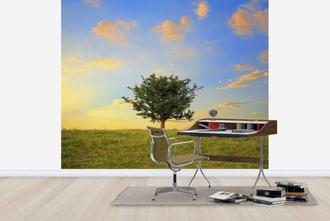 PHOTOWALL / Hawthorn Tree and Golden Clouds (e23932)