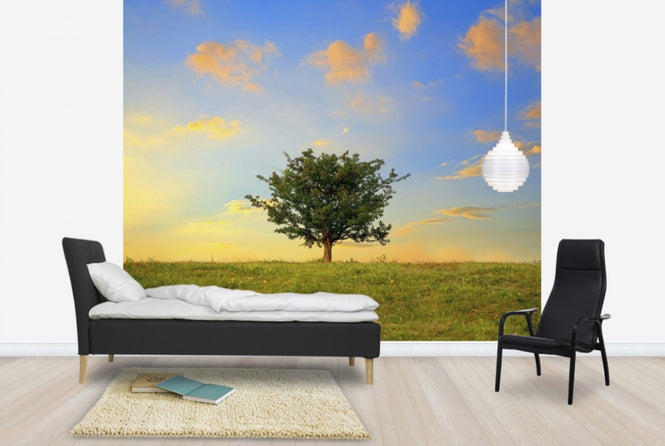 PHOTOWALL / Hawthorn Tree and Golden Clouds (e23932)