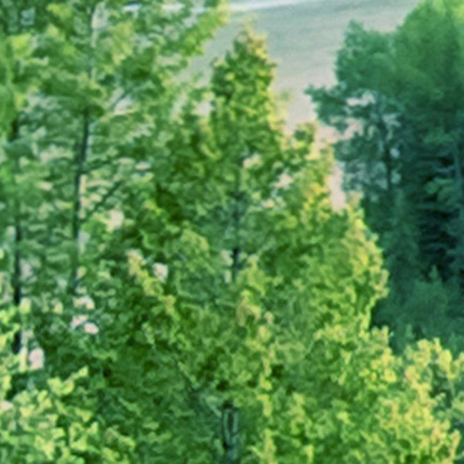 PHOTOWALL / Snake River (e23935)