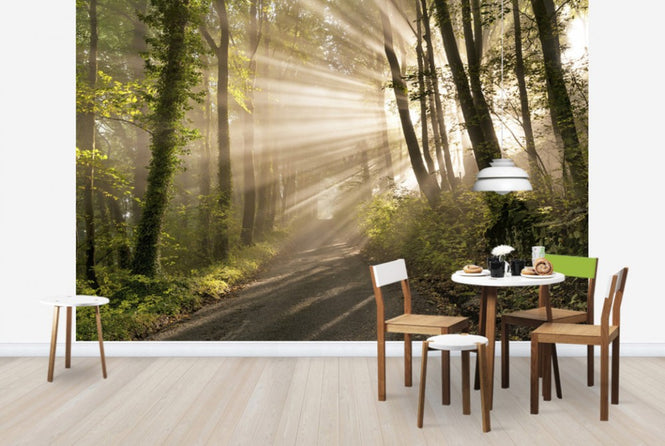 PHOTOWALL / Pearl Rays of Sunlight (e23957)