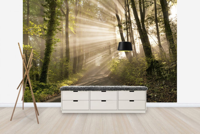 PHOTOWALL / Pearl Rays of Sunlight (e23957)