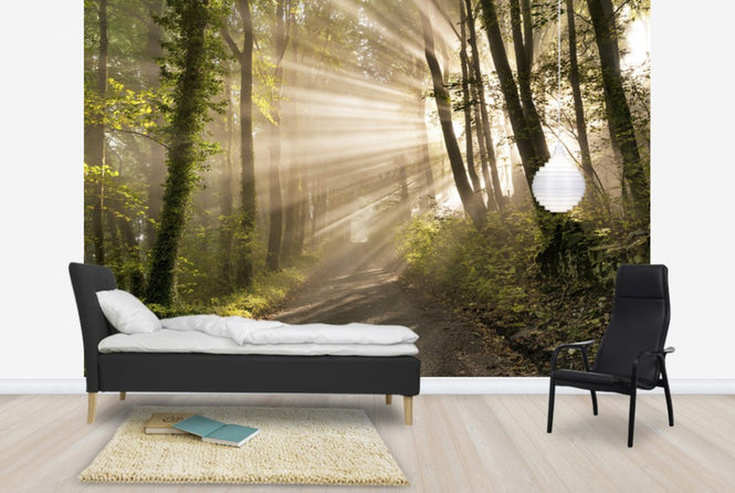 PHOTOWALL / Pearl Rays of Sunlight (e23957)