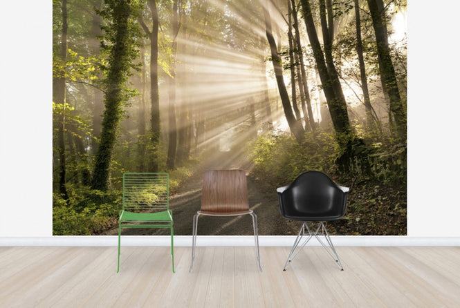 PHOTOWALL / Pearl Rays of Sunlight (e23957)
