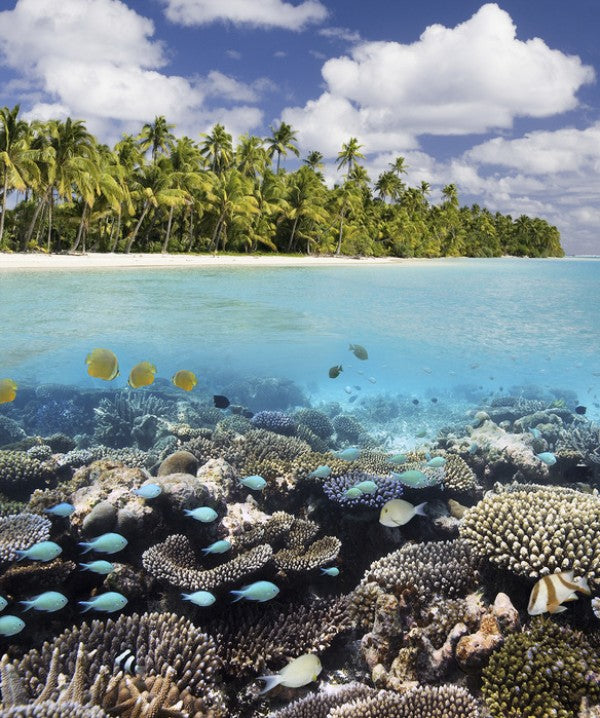 PHOTOWALL / Under and above Water (e23969)