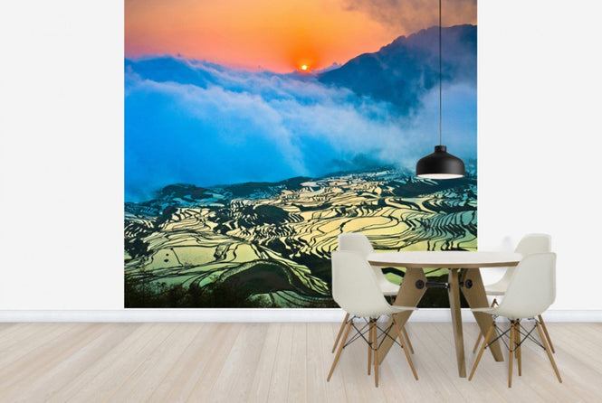 PHOTOWALL / Sunrise over Terraced Rice Fields (e24027)