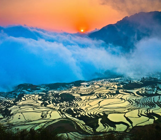PHOTOWALL / Sunrise over Terraced Rice Fields (e24027)