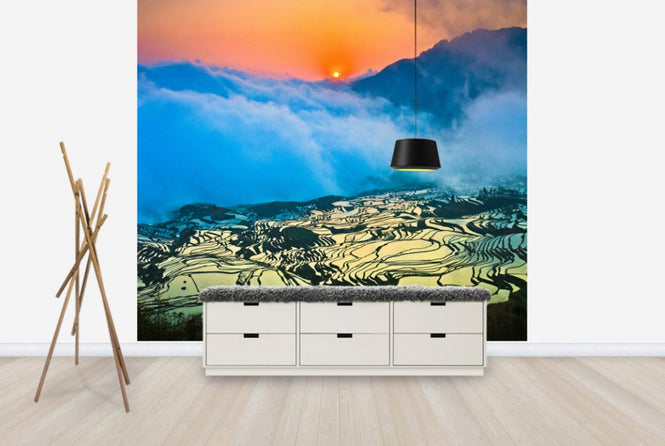 PHOTOWALL / Sunrise over Terraced Rice Fields (e24027)