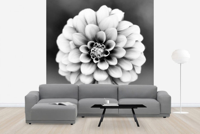 PHOTOWALL / Dahlia (e24045)