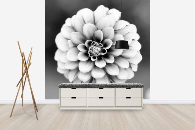 PHOTOWALL / Dahlia (e24045)