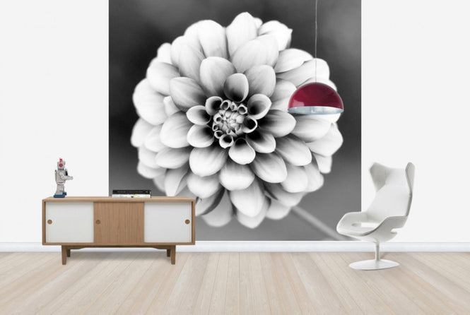 PHOTOWALL / Dahlia (e24045)