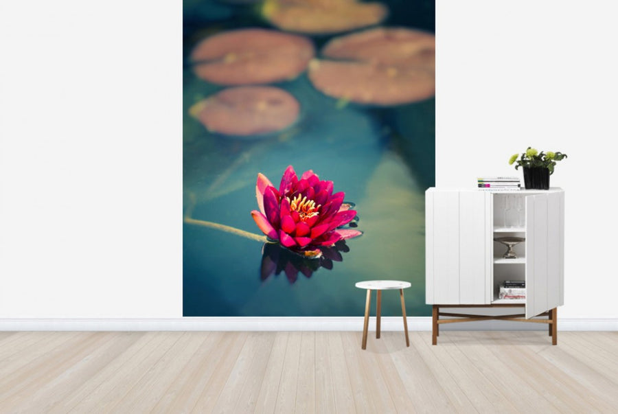 PHOTOWALL / Lotus in Lake (e24048)