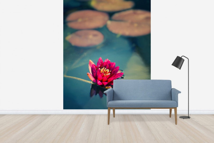 PHOTOWALL / Lotus in Lake (e24048)