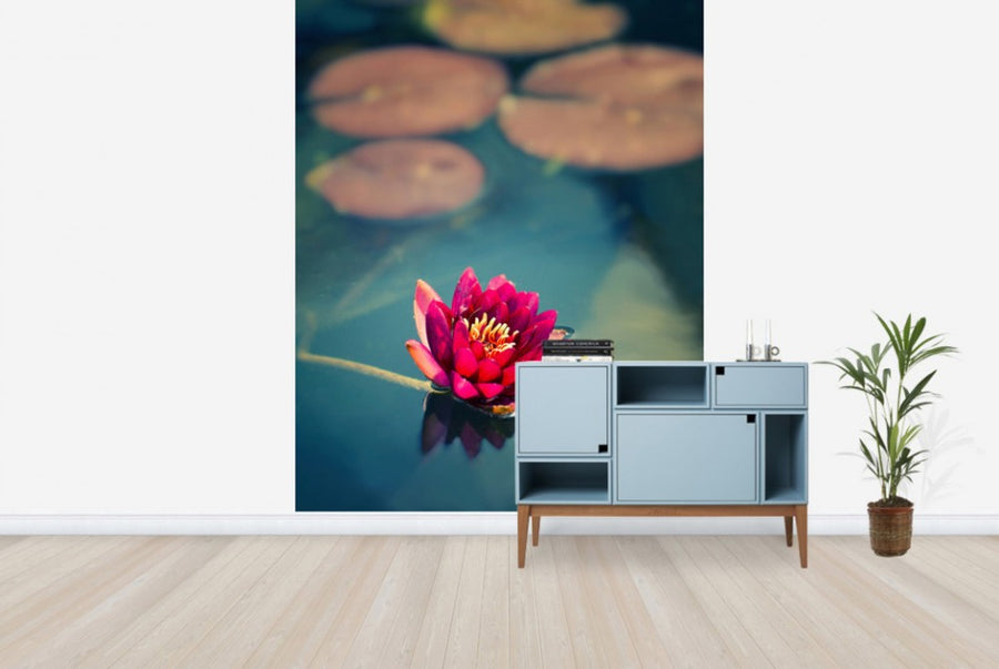 PHOTOWALL / Lotus in Lake (e24048)