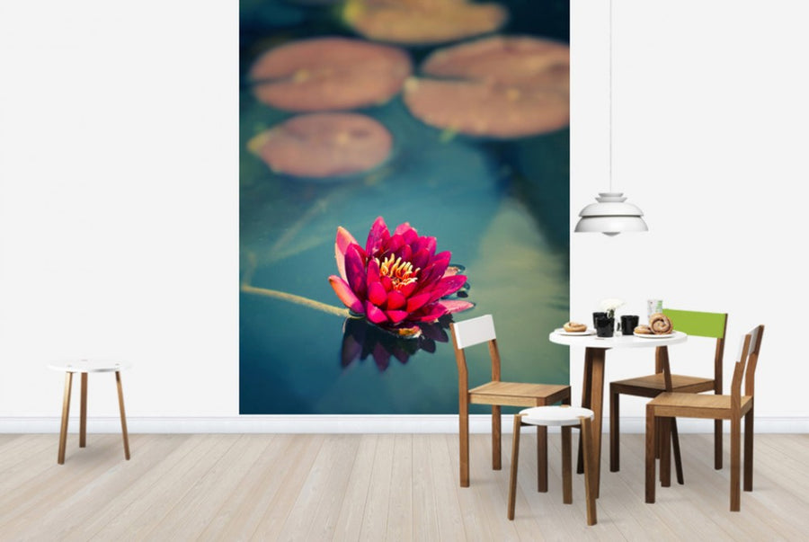 PHOTOWALL / Lotus in Lake (e24048)