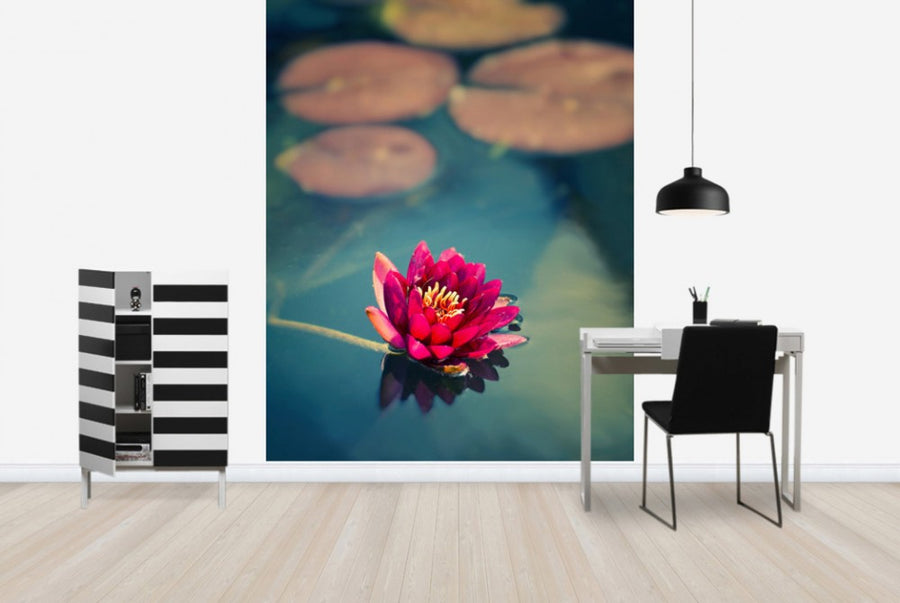 PHOTOWALL / Lotus in Lake (e24048)