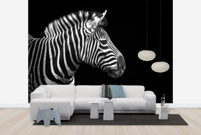 PHOTOWALL / Zebra (e24069)
