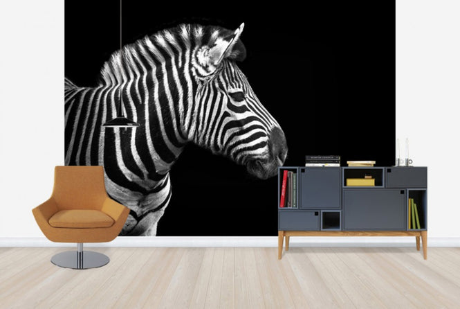 PHOTOWALL / Zebra (e24069)