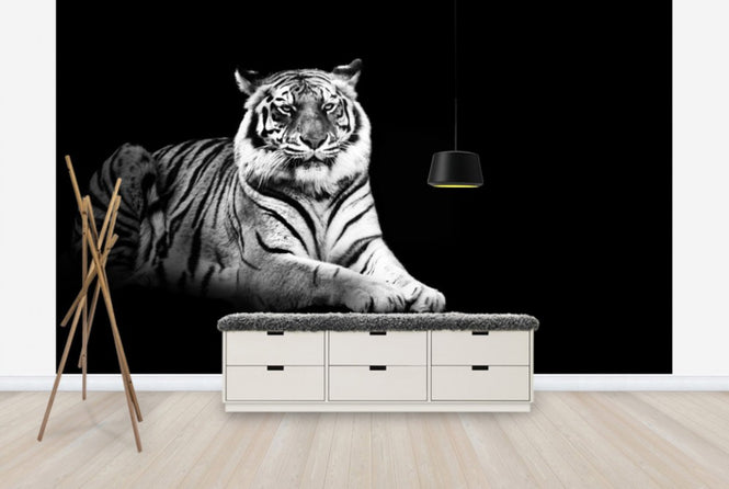 PHOTOWALL / Don't Make a Fuss (e24070)