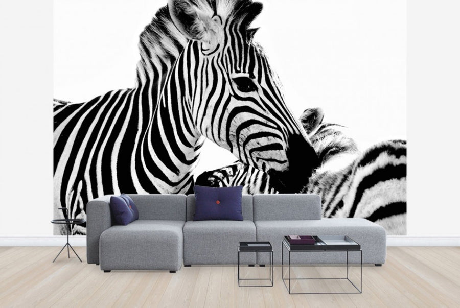 PHOTOWALL / Cuddling Zebras (e24071)