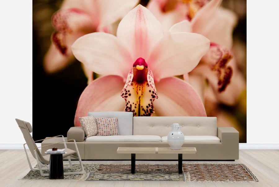 PHOTOWALL / Deep Cut Orchid (e24089)
