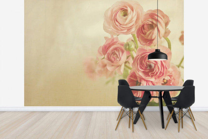 PHOTOWALL / Pink Ranunculus (e24090)