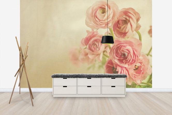 PHOTOWALL / Pink Ranunculus (e24090)