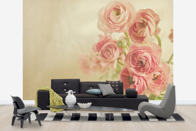 PHOTOWALL / Pink Ranunculus (e24090)
