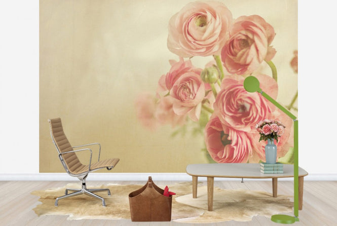 PHOTOWALL / Pink Ranunculus (e24090)