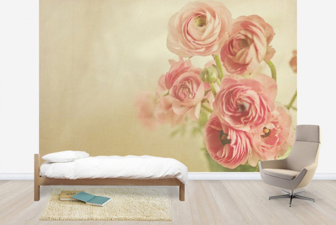 PHOTOWALL / Pink Ranunculus (e24090)