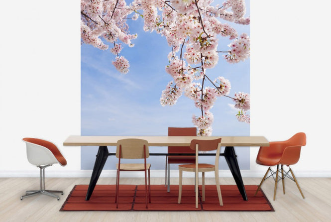 PHOTOWALL / Under a Cherry Tree (e24094)