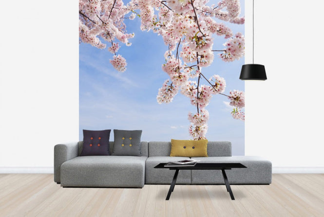 PHOTOWALL / Under a Cherry Tree (e24094)