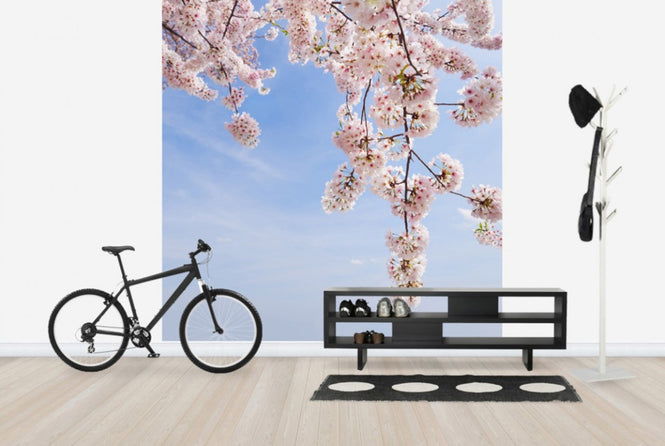 PHOTOWALL / Under a Cherry Tree (e24094)