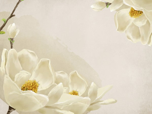 PHOTOWALL / White Beauty (e24097)