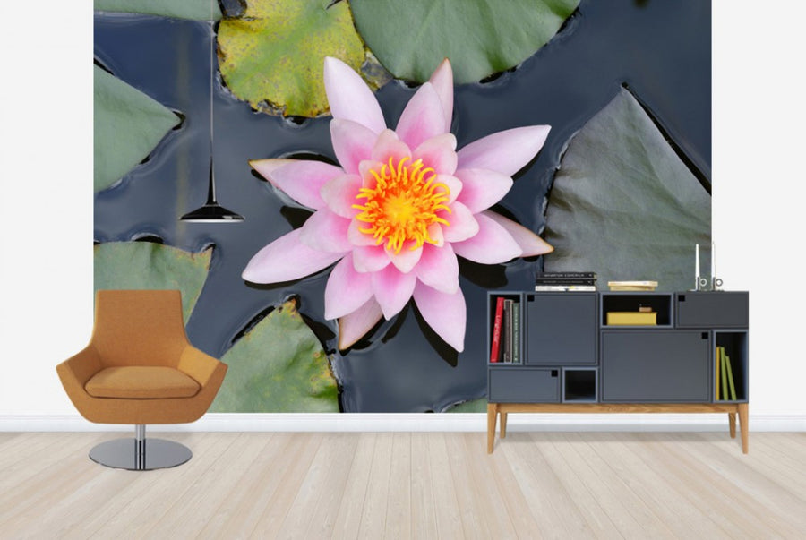PHOTOWALL / Pink Water Lily from Above (e24100)