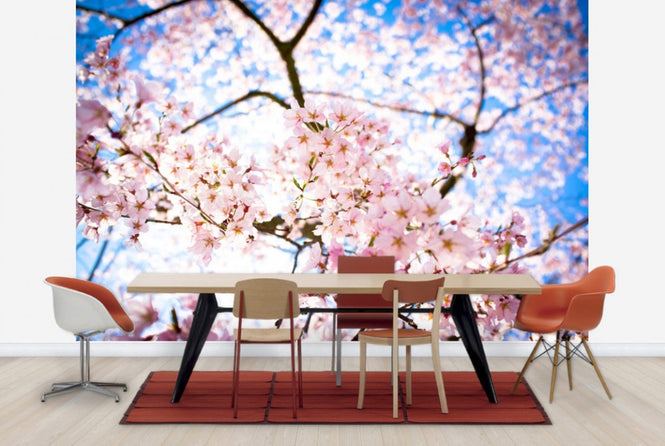 PHOTOWALL / Weeping Cherry Tree (e24104)